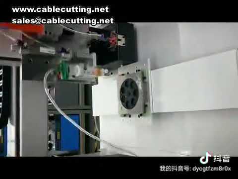 雙頭鎖螺絲機｜自動送料吹氣式桌上型電動起子｜每秒鎖一顆螺絲