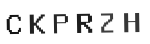 Verification Code Image